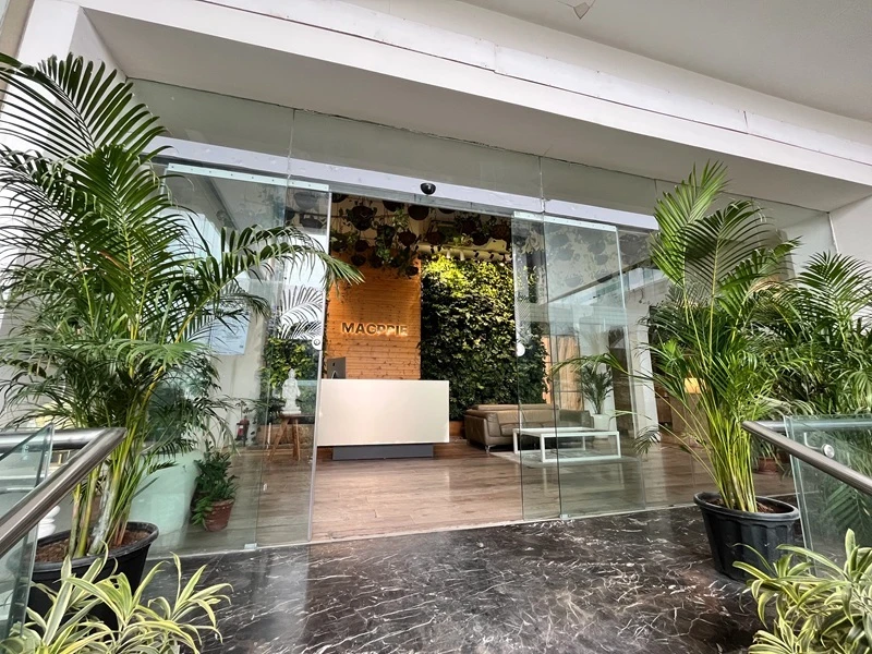 The Allure of Stone Kitchens: Where Wellness Meets Timeless Luxury