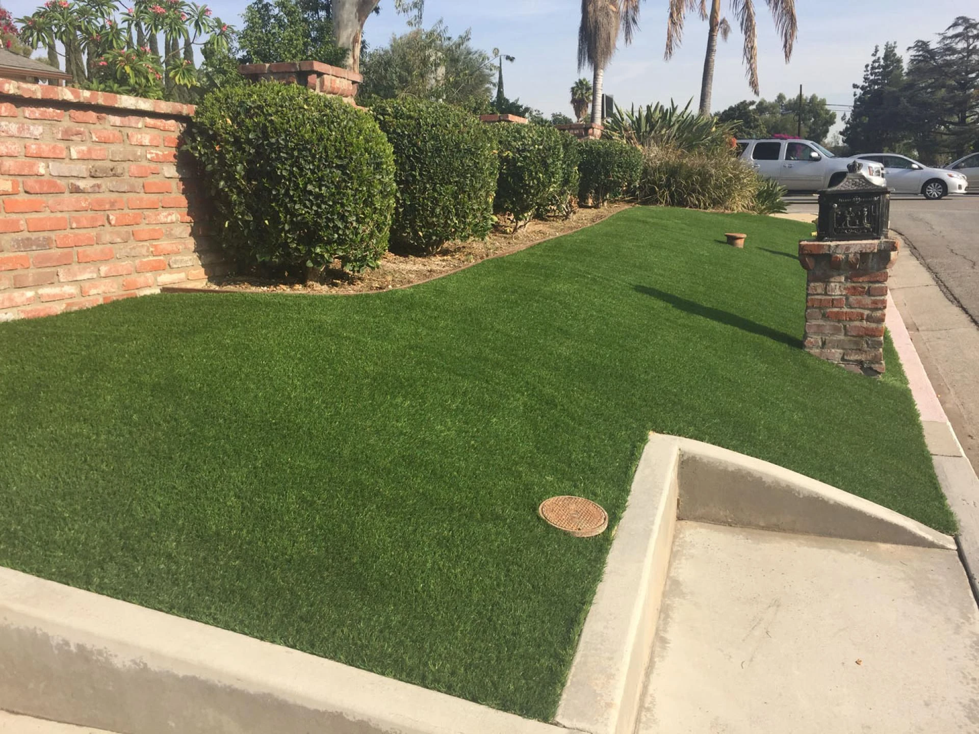 How Pet Friendly Astro Turf Prevents Odor Build-Up