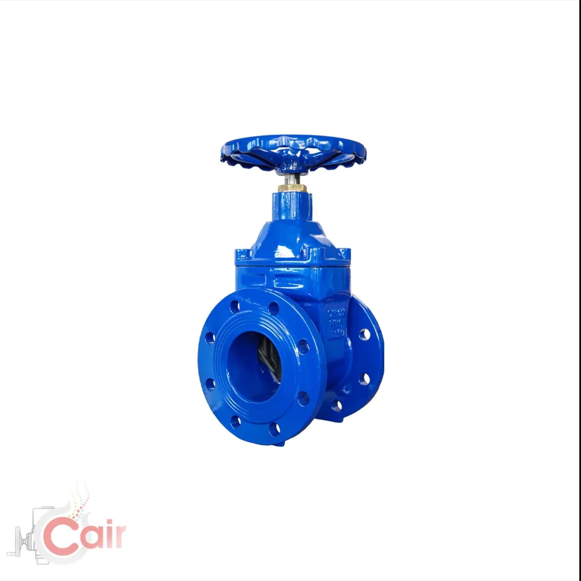 Resilient Gate Valve: A Reliable Solution for Modern Water Distribution Systems