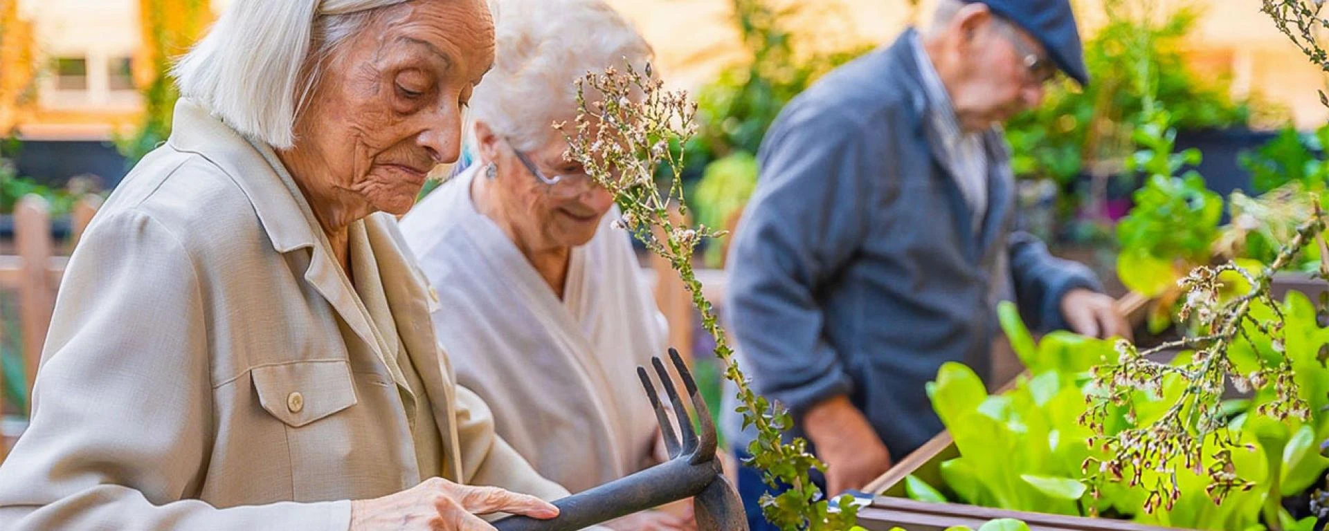 Summer Wellness for Seniors: Safe and Enjoyable Activities in Assisted Living
