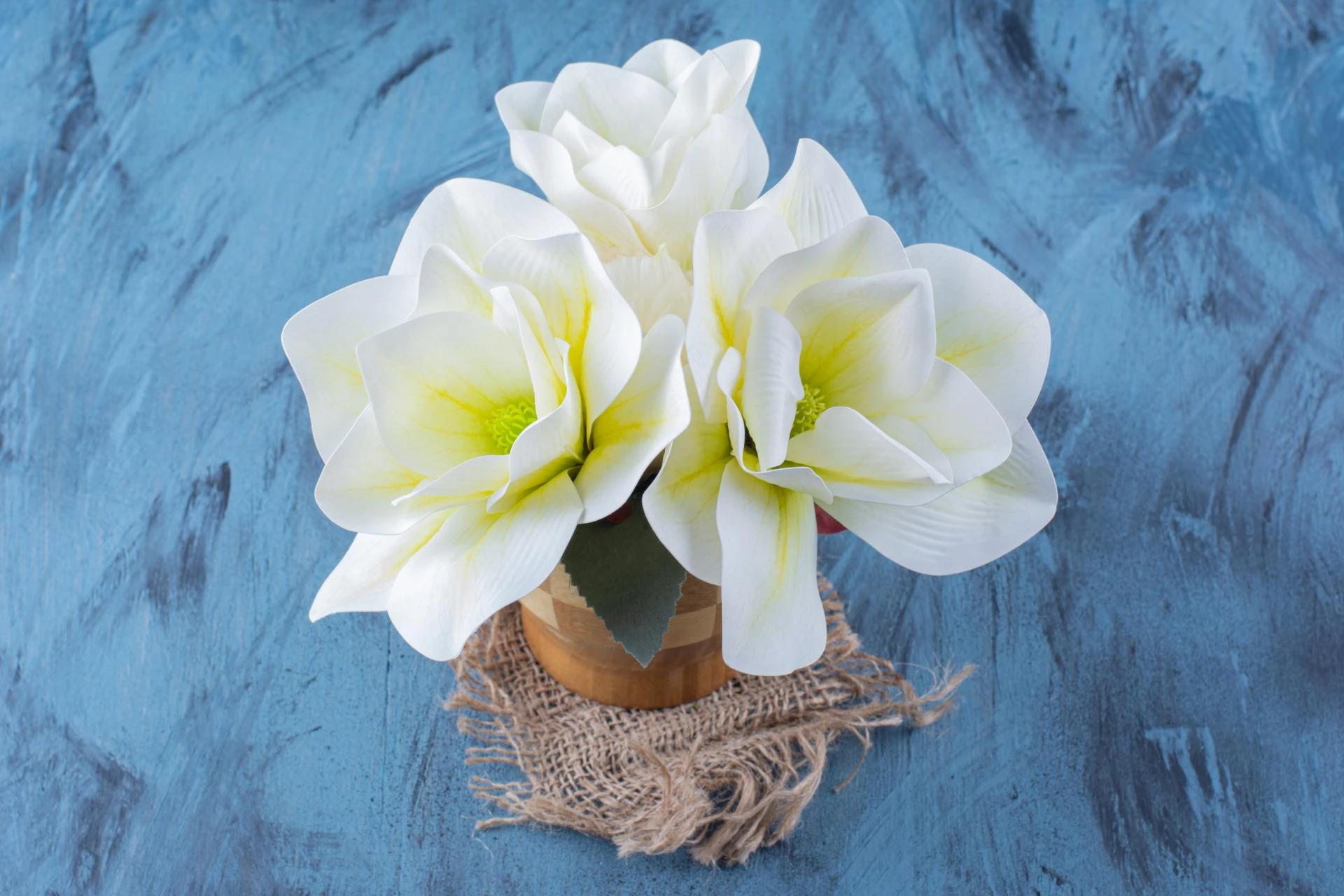 The Perfect Bouquet of White Orchid Flower: How to Select the Right One to Use in any occasion.