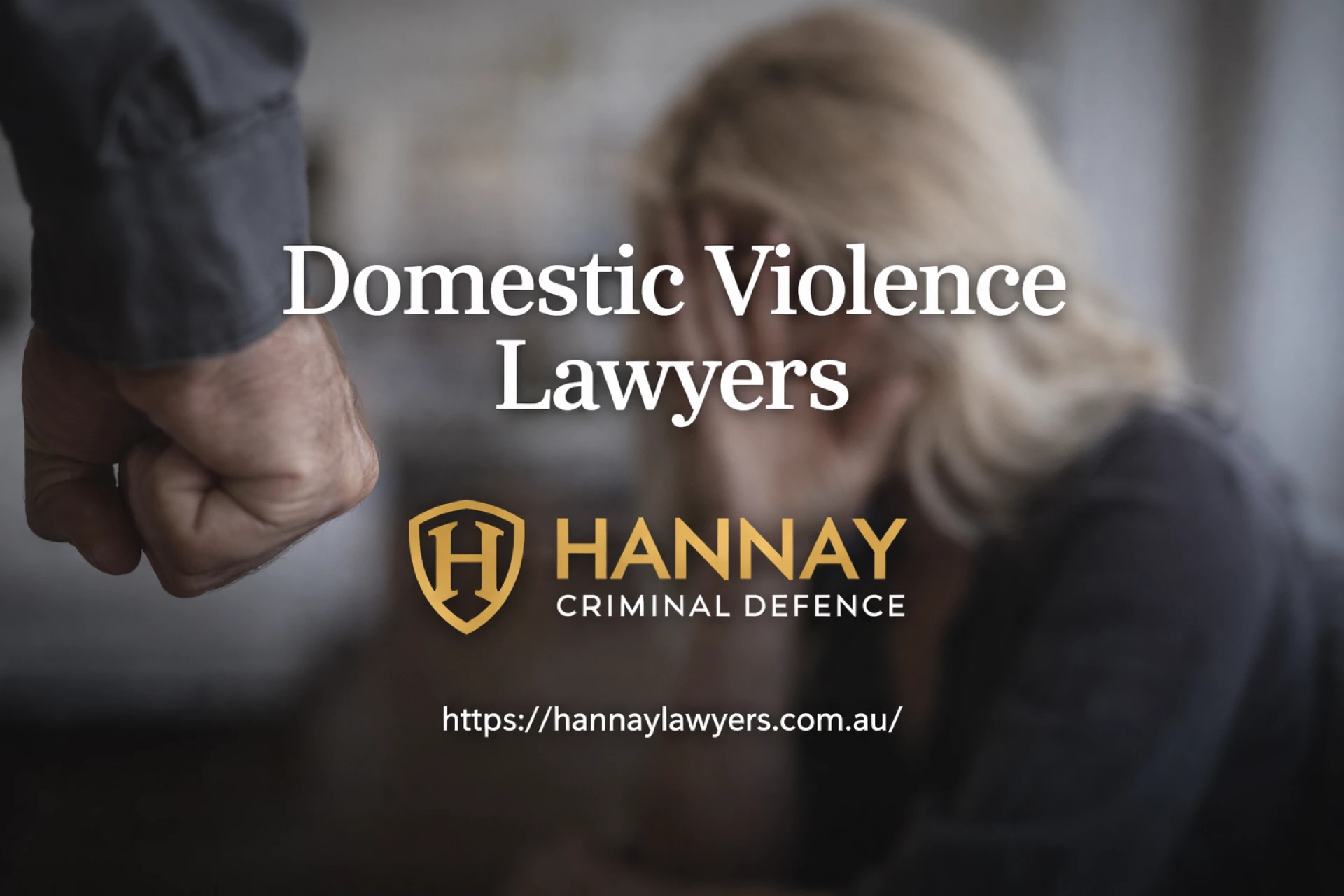 Types of Cases Handled by Domestic Violence Lawyers