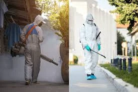 Fumigation Services: Effective Pest Elimination for Homes and Offices