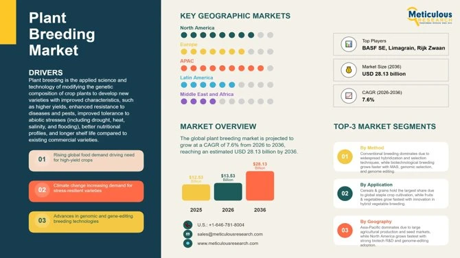 Plant Breeding Market to Reach $28.13 Billion by 2036 | CAGR 7.6%