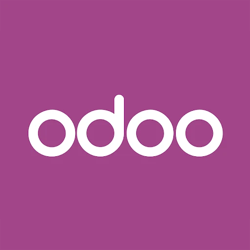 Why Your Company Requires a Jodhpur Odoo Consultant 