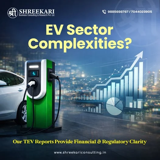 TEV Consultant in India Unlocking Bankable Projects Through TEV Study and TEV Report