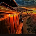 Private Safari Masai Mara: A Personalized Journey Into Kenya’s Iconic Wilderness
