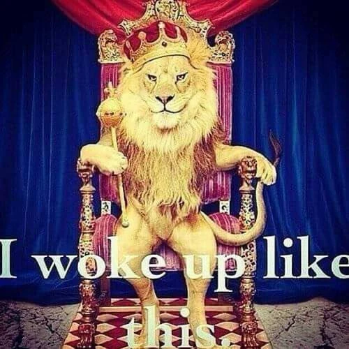 Wybierz moją następną przygodę