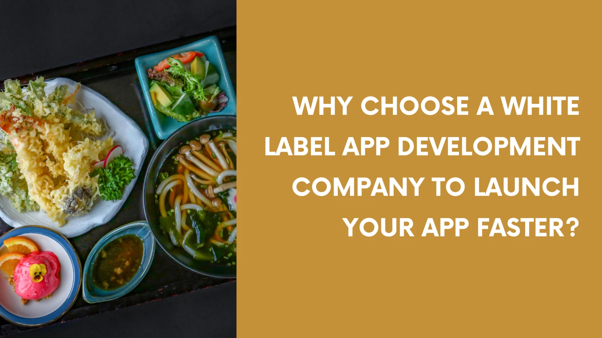 Why Choose a White Label App Development Company to Launch Your App Faster