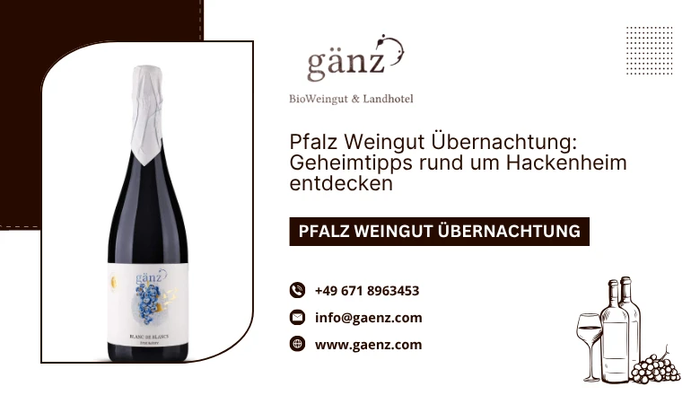 Pfalz Weingut Übernachtung: Geheimtipps rund um Hackenheim entdecken