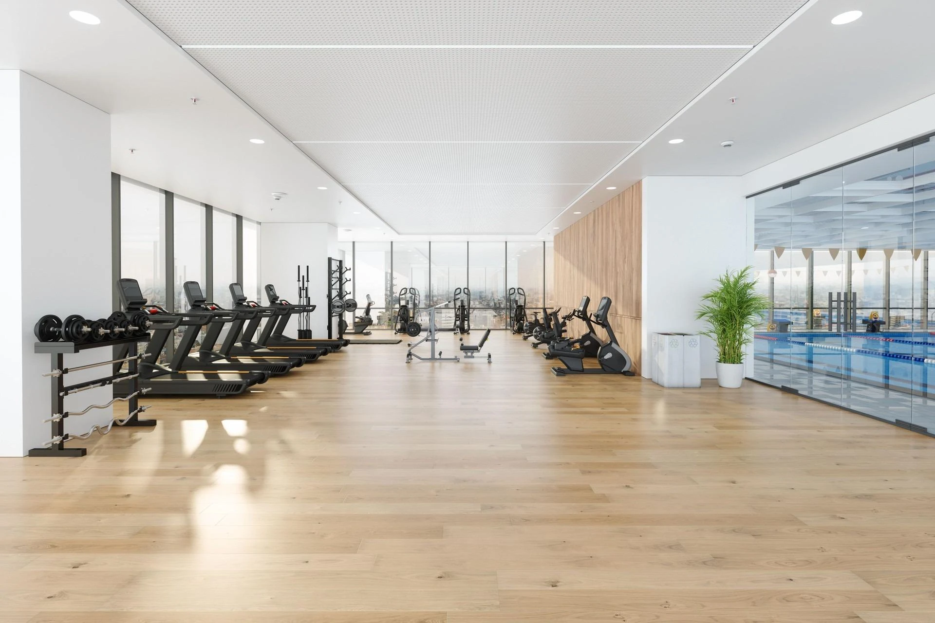 Innovative Commercial Gym Designs and Smart Gym Floor Plan Strategies for Maximum Efficiency