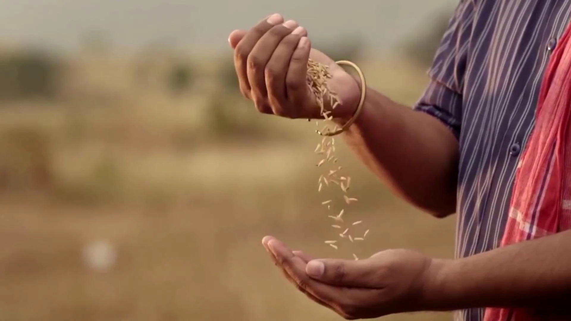 Advancing Agricultural Efficiency with Apollo Tyres
