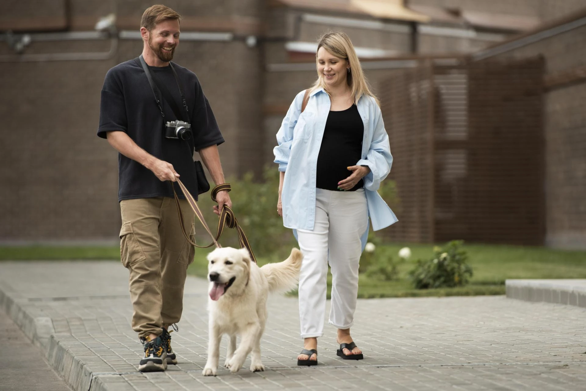 Is Your Dog’s Walk Boring? How to Find Capitol Hill Walkers That Keep Tails Wagging