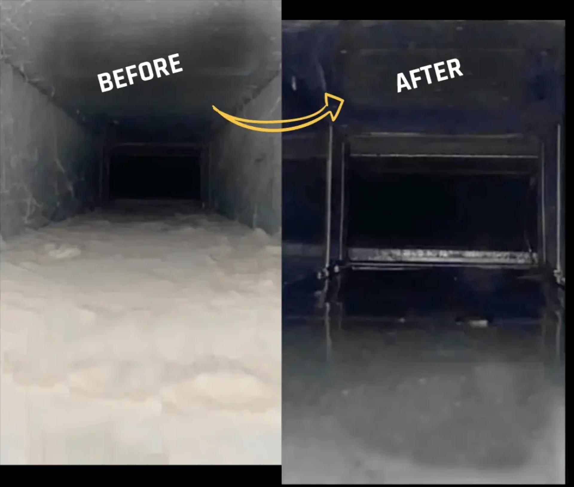 Best Carpet Cleaning Methods for Stain Removal and Long-Lasting Results