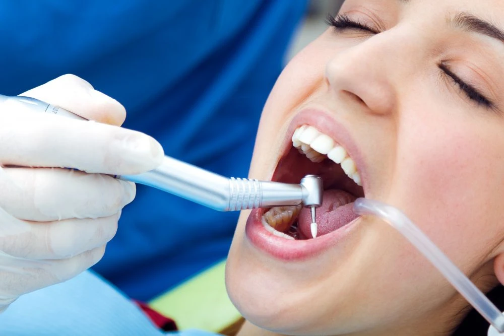 Your Guide to Quality Dental Care in Fremantle, Bull Creek, Spearwood & Beaconsfield