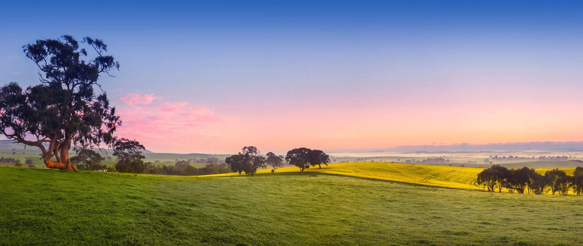 Key Documents Your Conveyancer Will Handle Explained