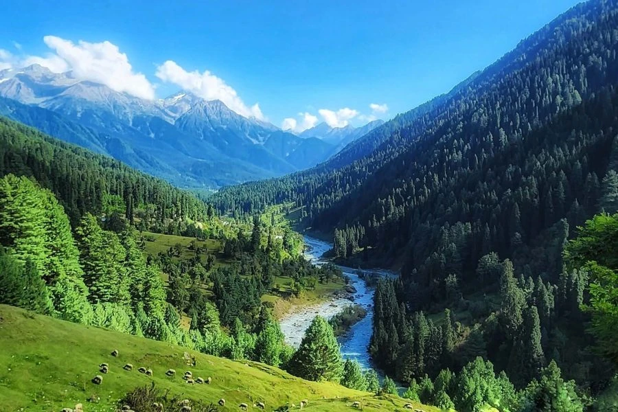 Affordable Kashmir Tour Packages: Discover Paradise Without Breaking the Bank