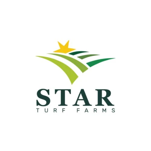 Summer Care Tips for Your Bermuda Grass Lawn