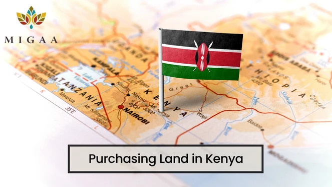 Land Buying Scams in Kenya: How to Invest Safely with Confidence
