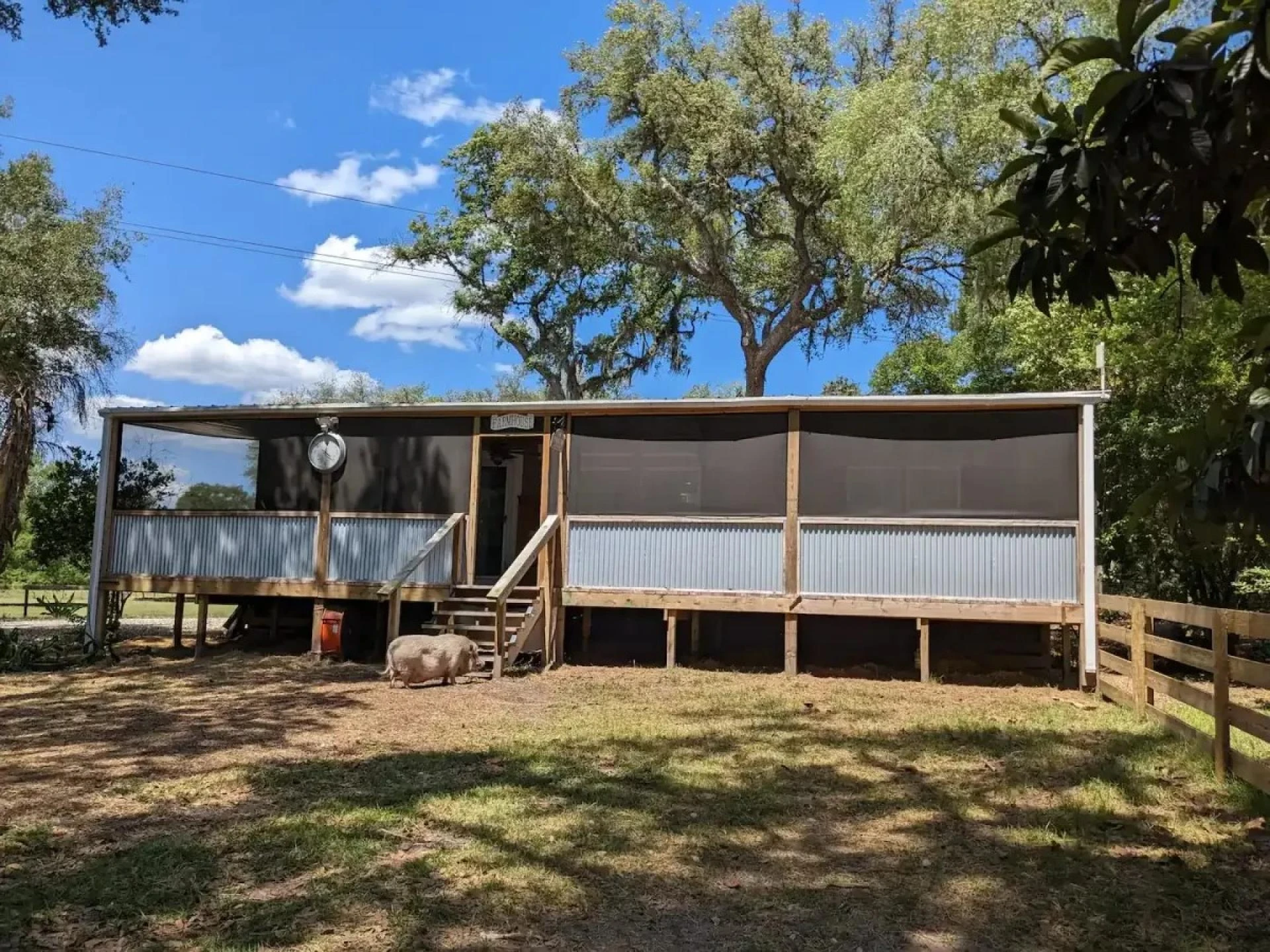 Discover the Joy of Life on a Peaceful Farm