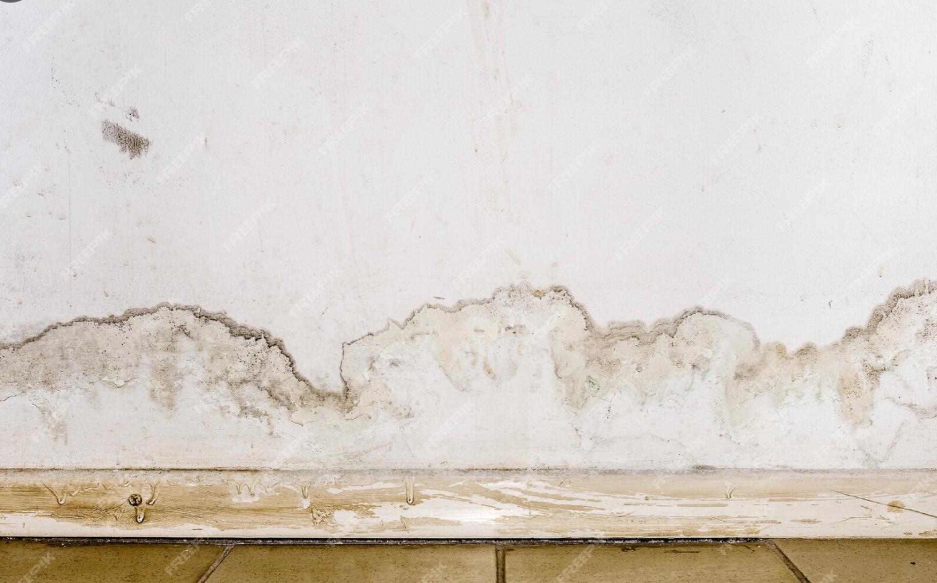 Effects of Sleeping in a Damp Room