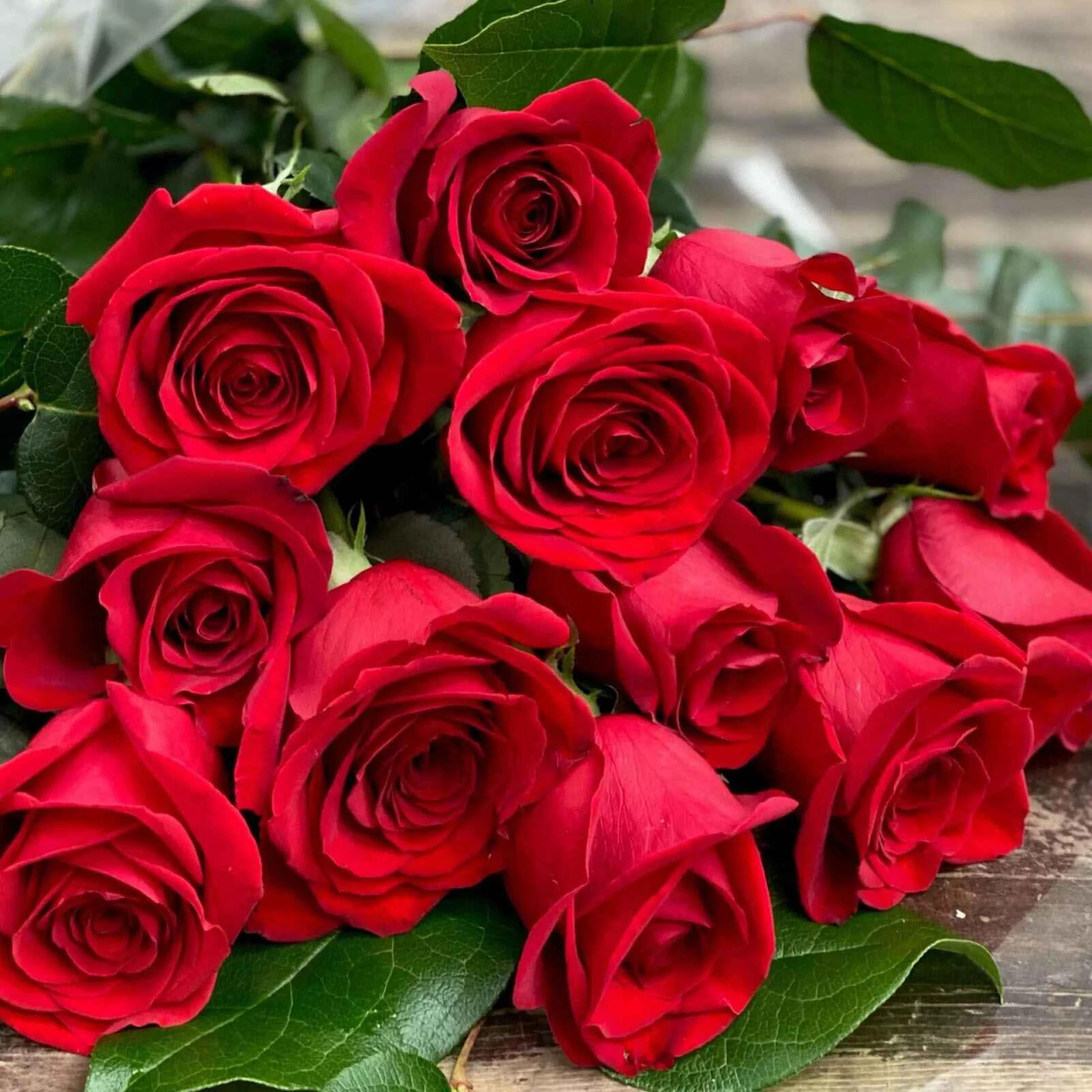 Roses Delivery Dubai That Doesn’t Make You Regret It – The Flower Love