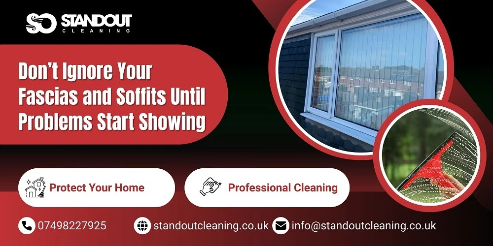 Don’t Ignore Your Fascias and Soffits Until Problems Start Showing