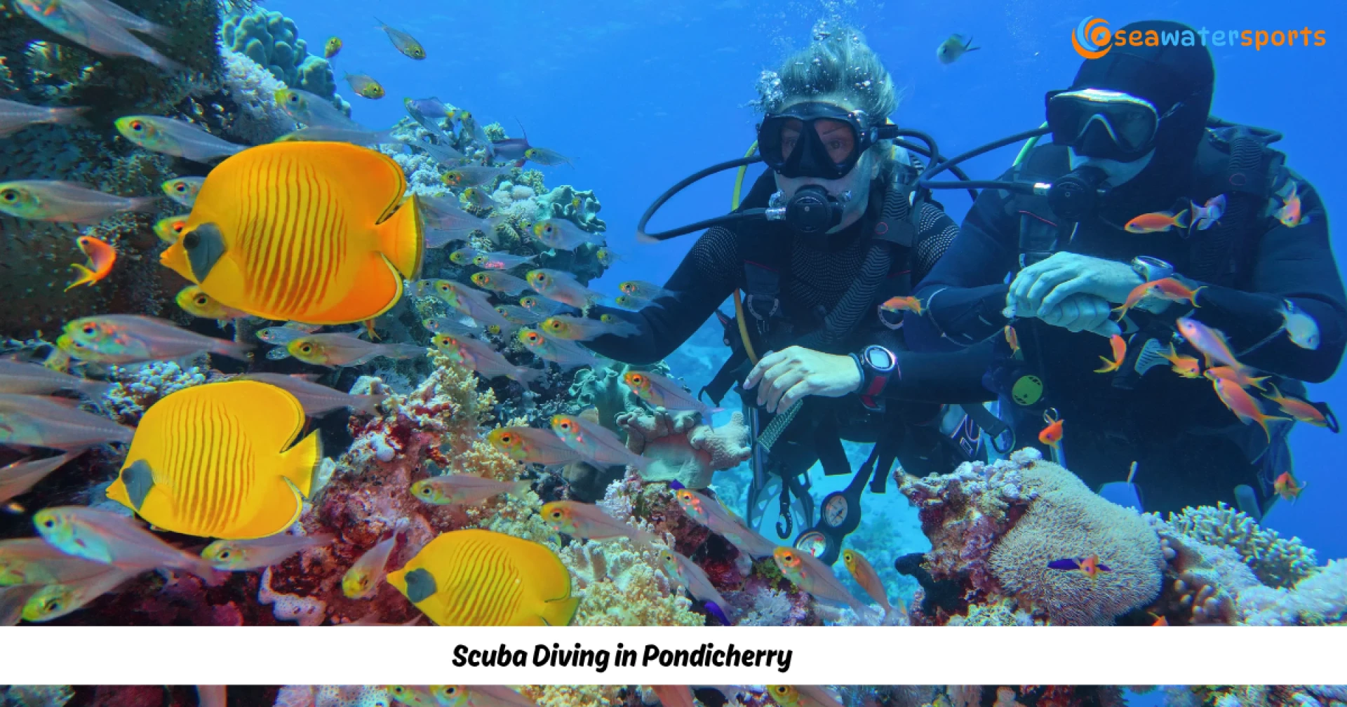 Pondicherry Scuba Diving 2026: Prices, Depth, PADI Courses & Complete Certification Guide