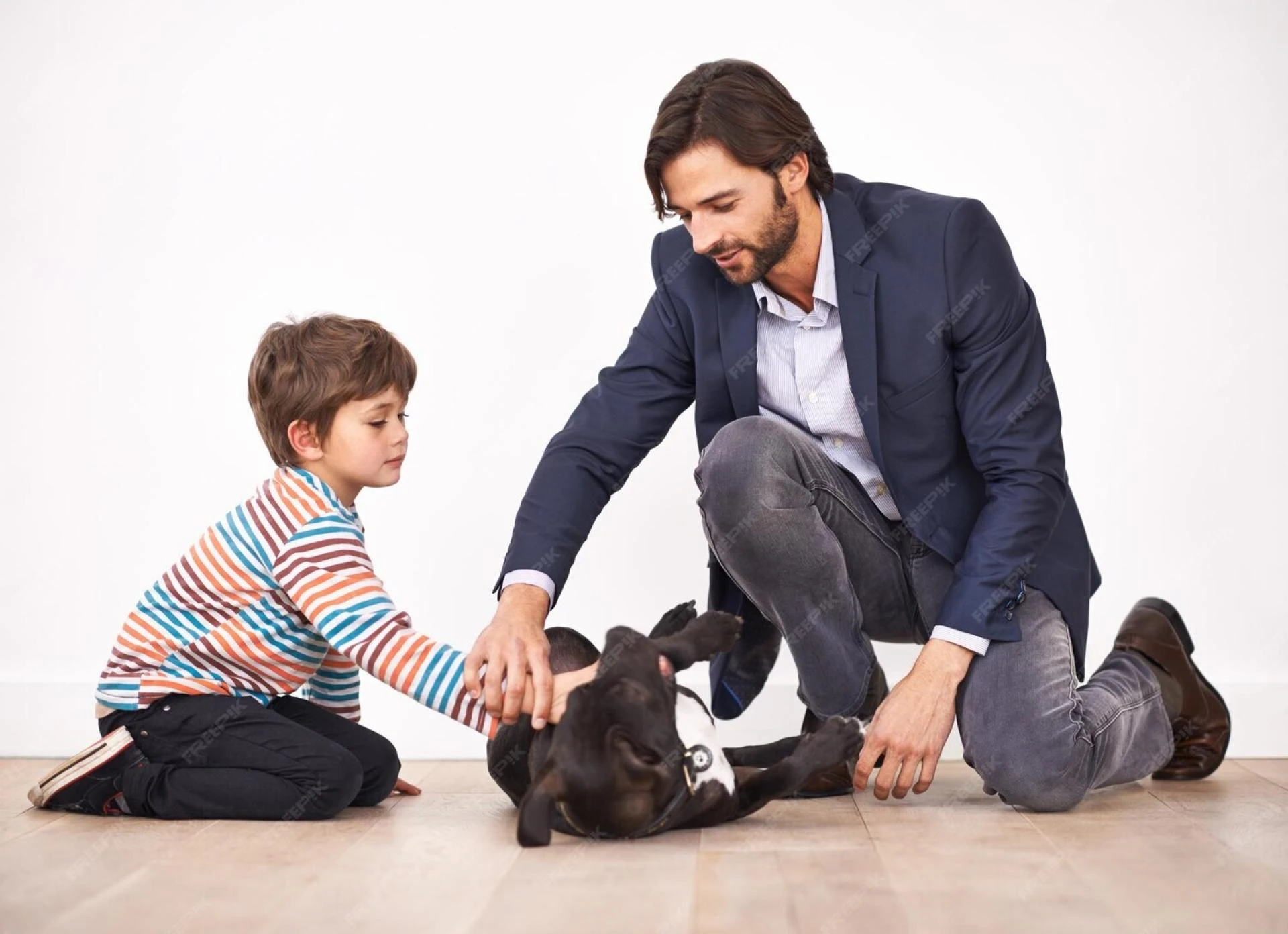 Understanding Legal Support: Family Court Lawyer vs Dog Bite Accident Lawyer