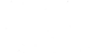 Fortune Vincent Lagaf : Parcours, Revenus et Patrimoine