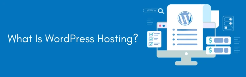 5 Frequently Asked WordPress Hosting Questions Answered