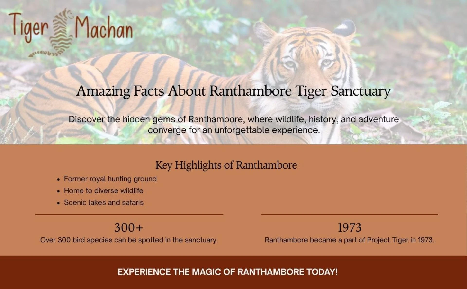 Amazing Facts About Ranthambore Tiger Sanctuary That Will Surprise You