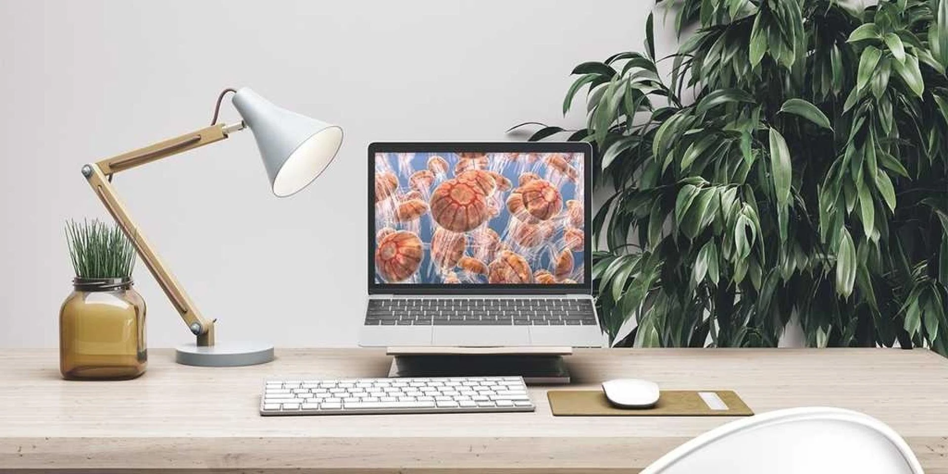 How to Choose the Best Website Developer in Dubai