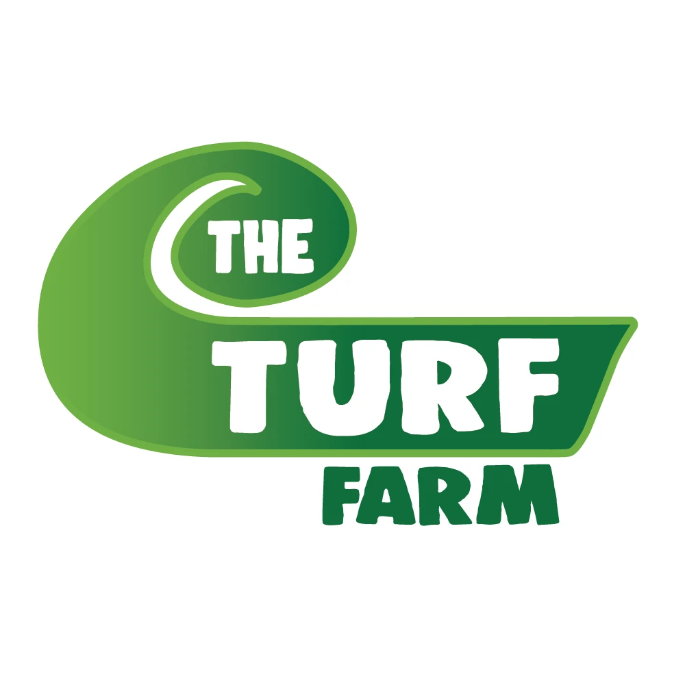 Draft: MyInstant Turf Installation Tips: Everything You Need to Know for a Perfect Lawn Post Title