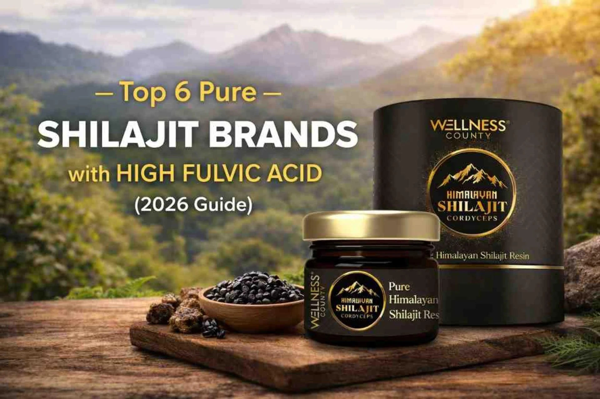Top 6 Pure Shilajit Brands with High Fulvic Acid (2026 Guide)