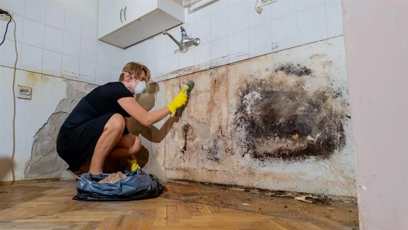 5 Prevention Tips to Avoid Recurring Needs for Mold Restoration Services