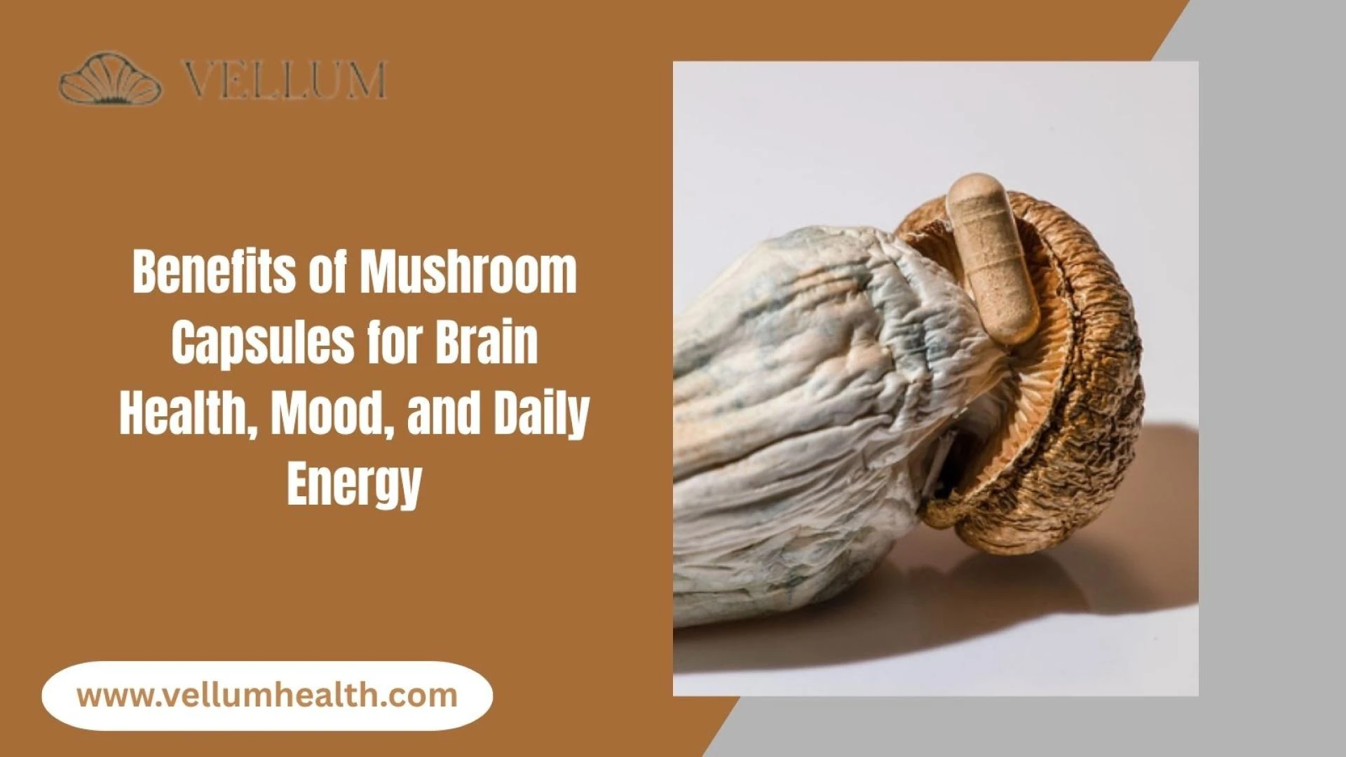 Beginner’s Guide to Mushroom Capsules and Plant-Based Supplements for Daily Wellness