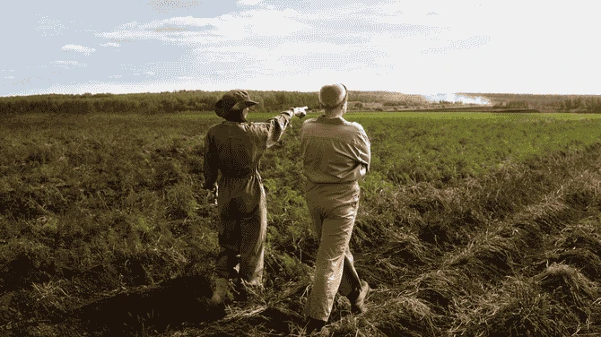 How Sustainable Agriculture Help Solve Climate Crisis