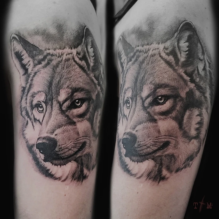 Best Dog Portrait Tattoo Artist Near Me in the USA – Unique Dog Portrait Tattoo Designs That Capture Your Pet’s Soul Perfectly