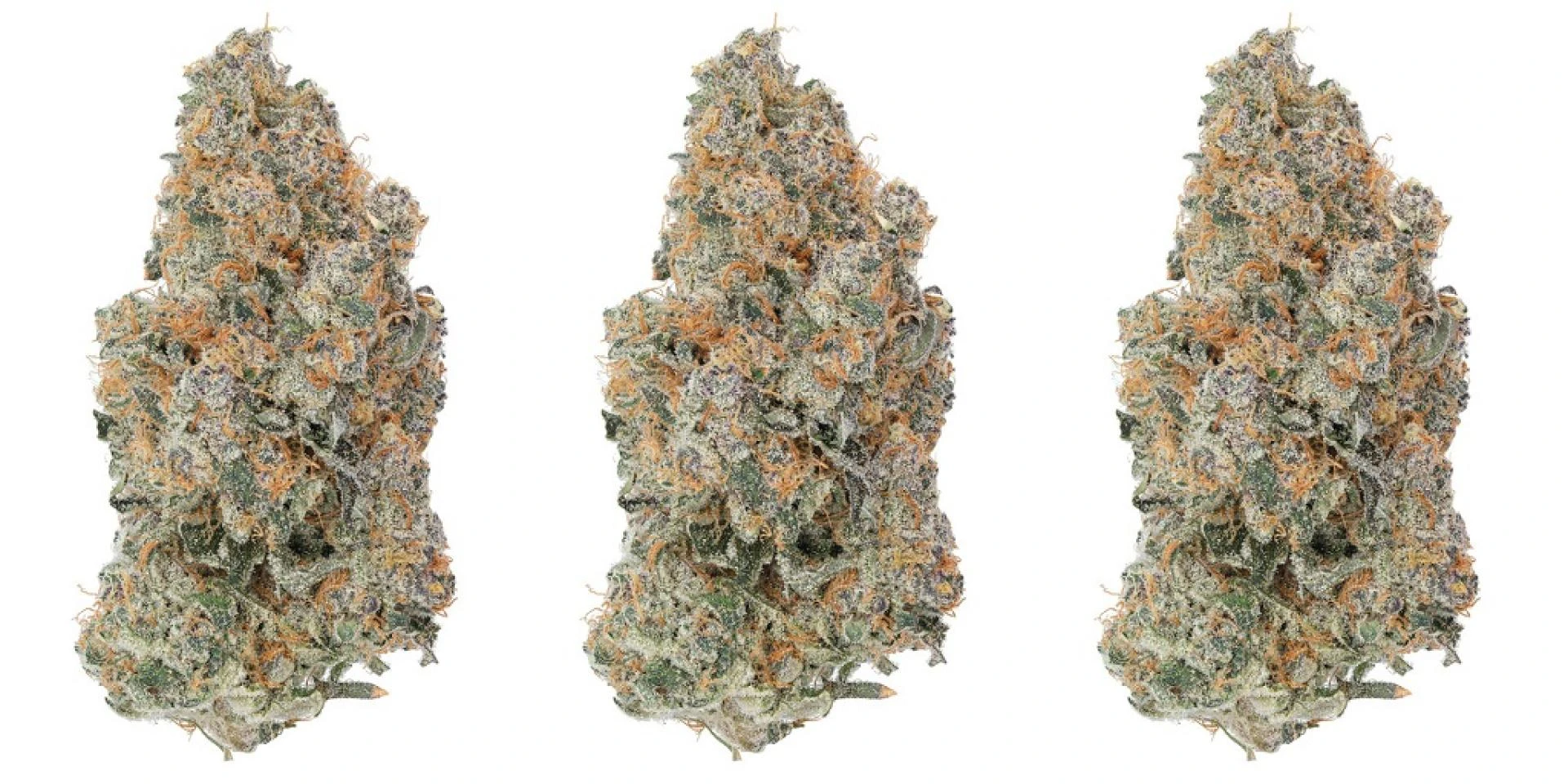 Why THCa Bundles Offer a Superior Tasting Experience