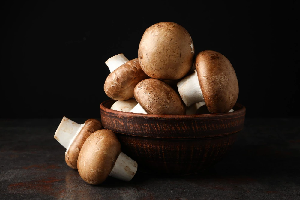 Spain Mushroom Market Industry Size, Share Evaluation, Growth, Trends and Outlook Report 2026-2034