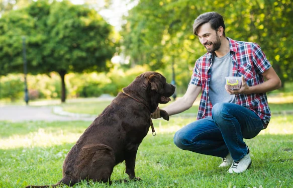 How to Build a Long-Lasting Bond With Your Dog Using Science-Based Methods