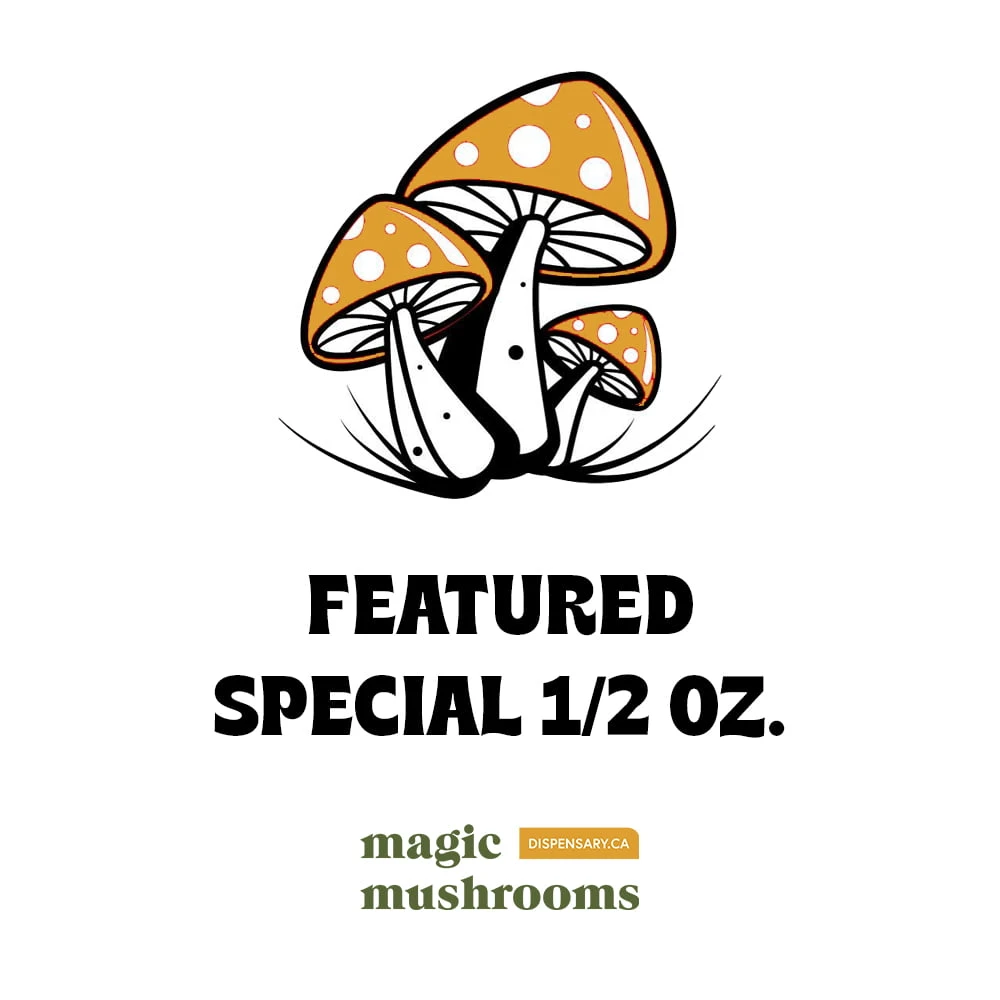 Best Online Options to Buy Magic Mushrooms in USA Today