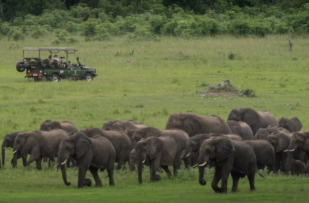 Ultimate Guide to Seasons in Zimbabwe and a Perfect South Africa 15 Day Itinerary for an Unforgettable African Journey