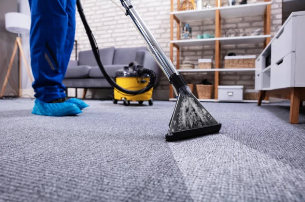 How Often Should You Clean Your Carpets? Expert Insights for a Healthier Home