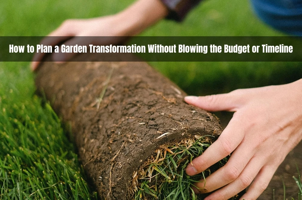How to Plan a Garden Transformation Without Blowing the Budget or Timeline