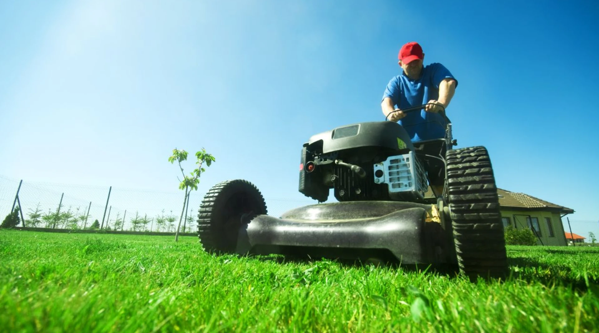 DIY vs Professional Lawn Mowing Services: What’s the Real Difference?