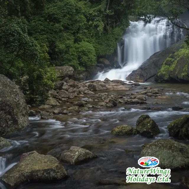 Kerala Package Tour to Explore Munnar and Thekkady