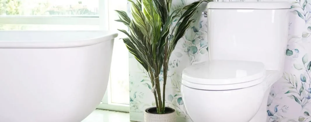 From No-Clog Performance to Design: Why Caroma Toilets Stand Out