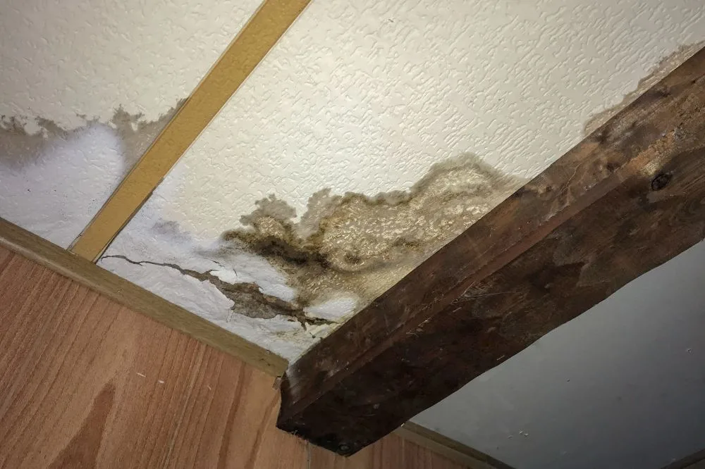 Renter or Landlord? Who Is Actually Responsible for Water Damage in a Leased Home